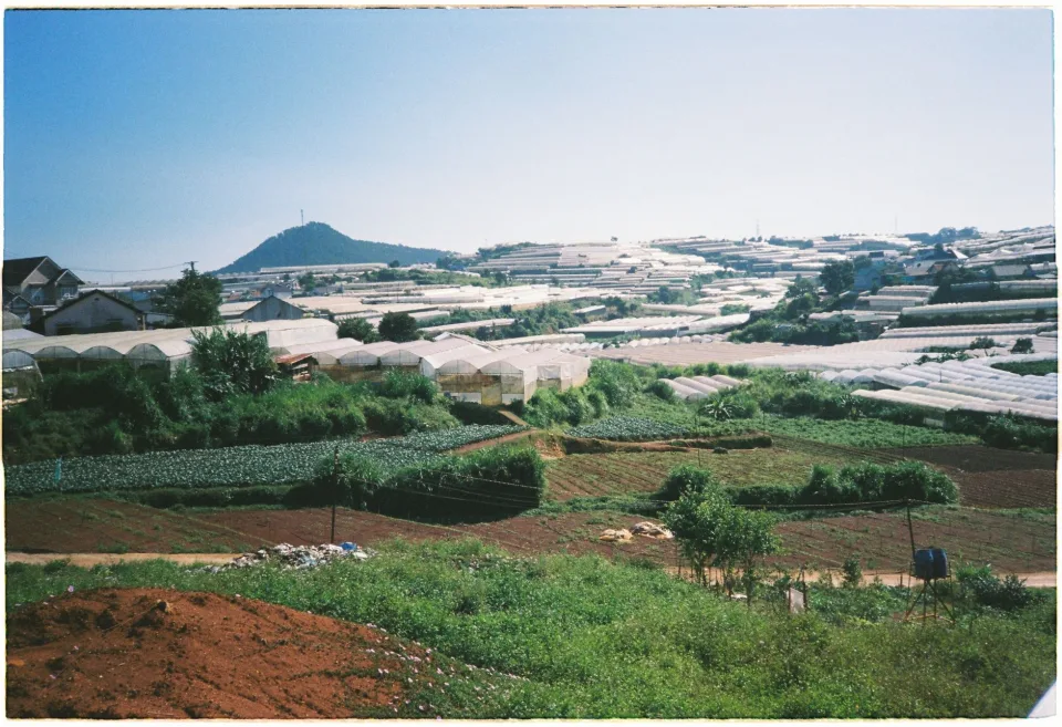 Củ quả theo mùa